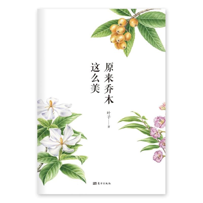 原来乔木这么美