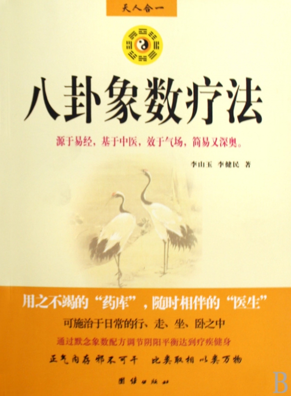 八卦象数疗法