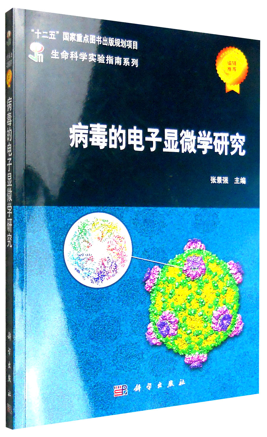 病毒的电子显微学研究