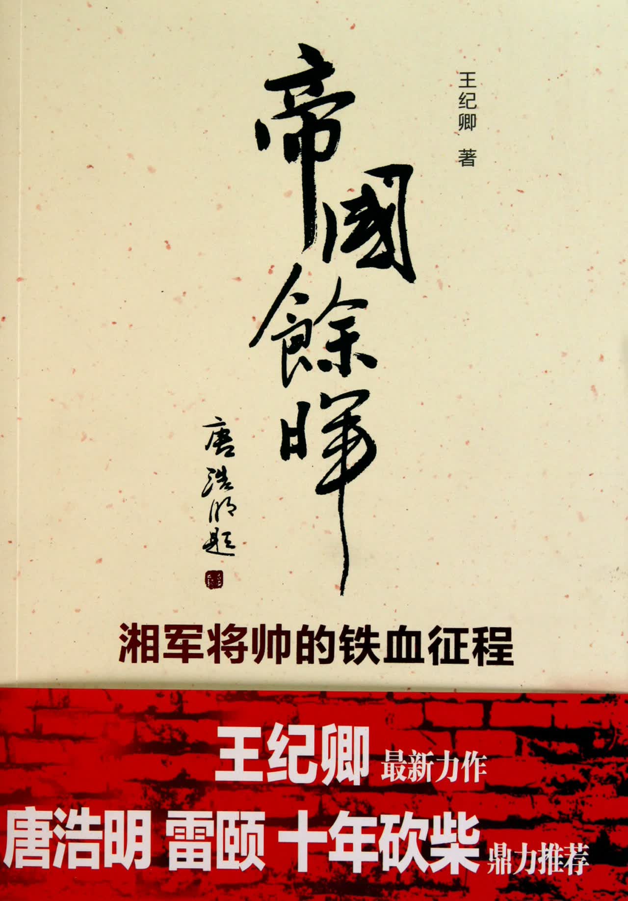 帝国余晖(湘军将帅的铁血征程)