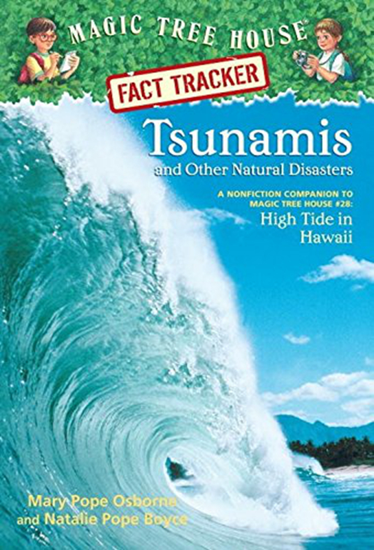 海啸及其他自然灾害tsunamis and othernatural disaste