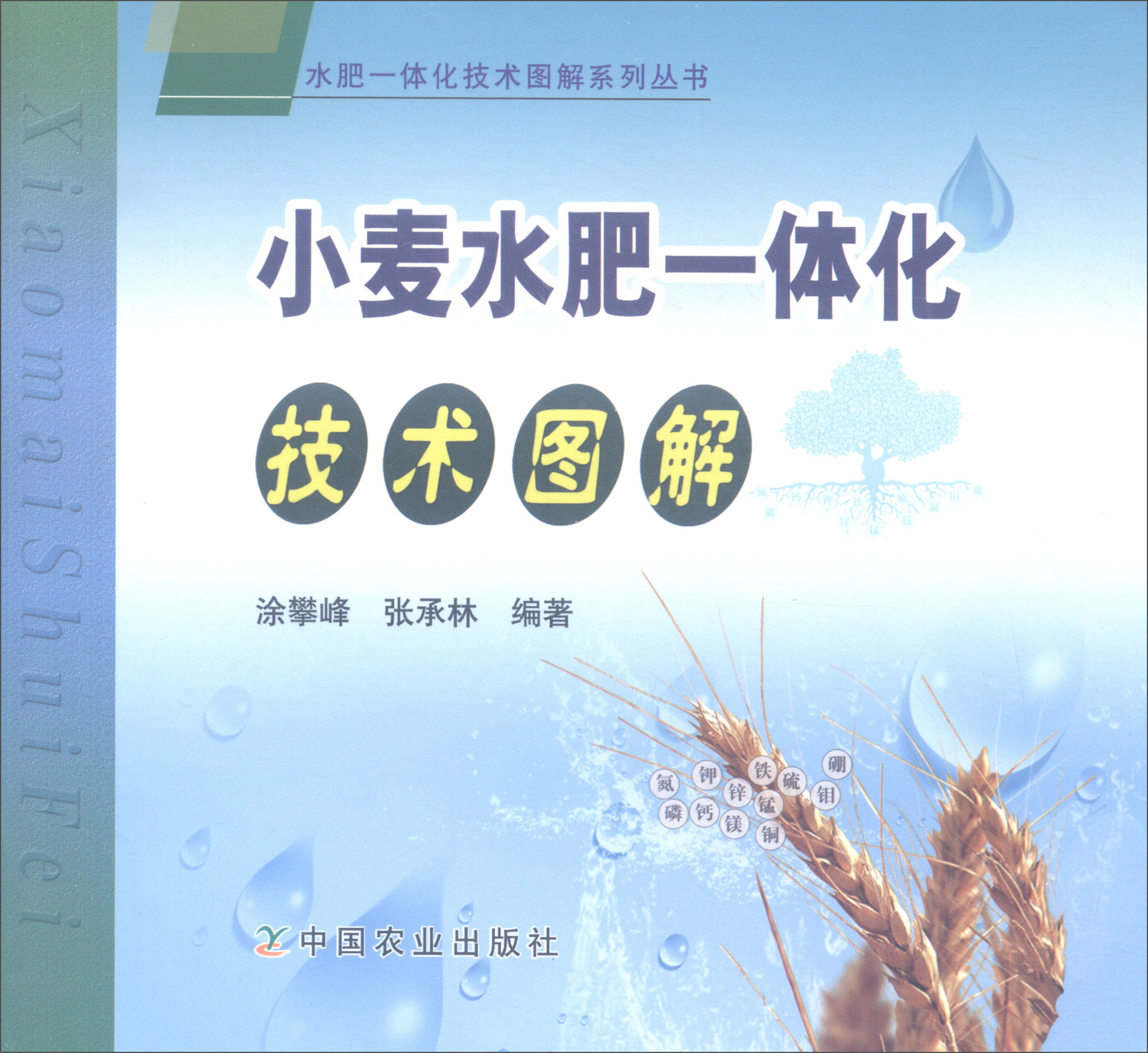 小麦水肥一体化技术图解