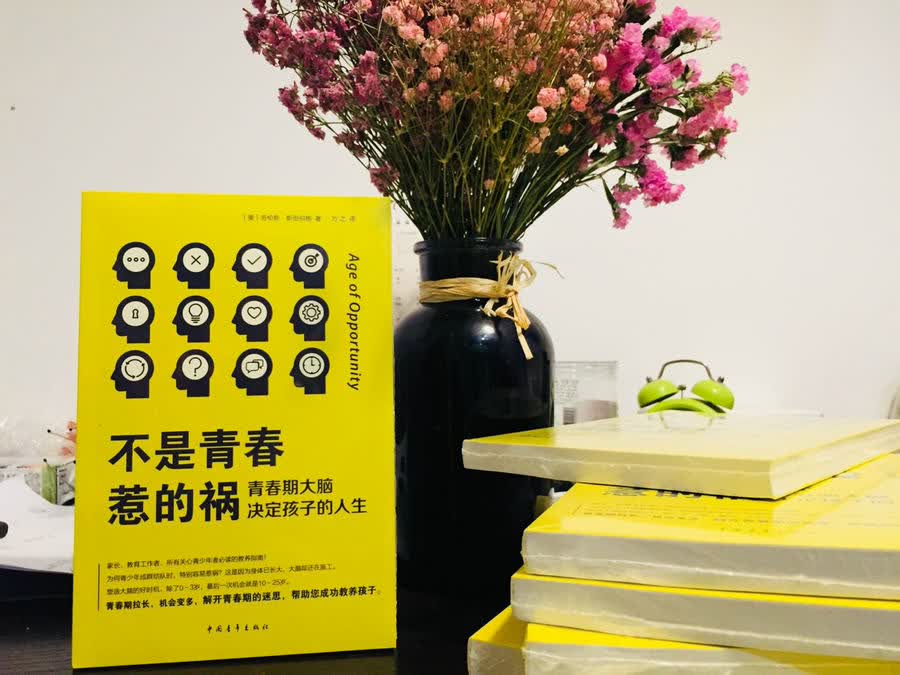 不是青春惹的祸——青春期决定孩子的人生详情图
