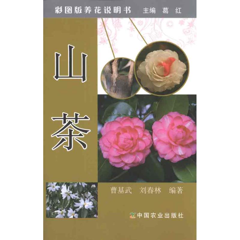 山茶