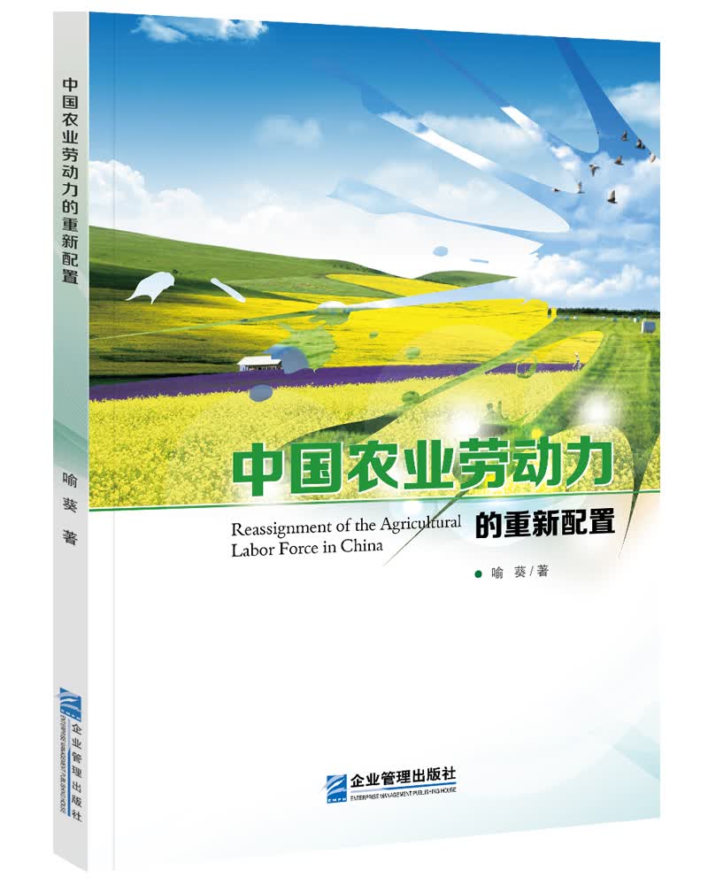 中国农业劳动力的重新配置