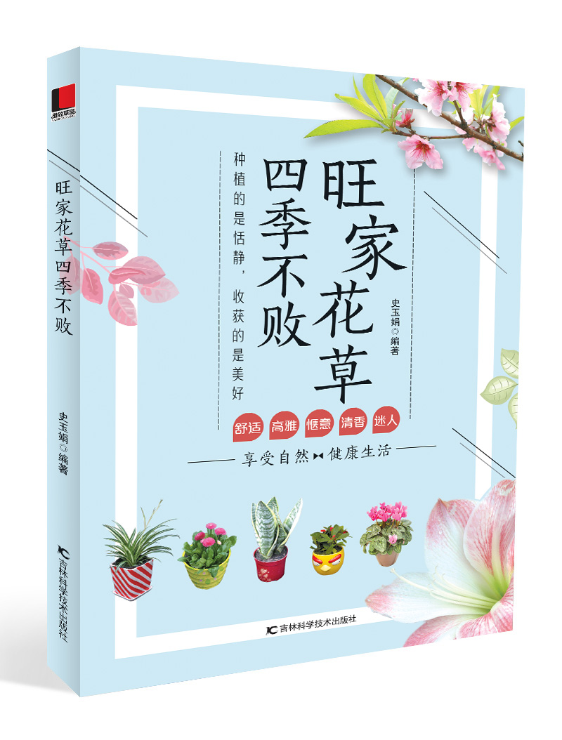旺家花草四季不败