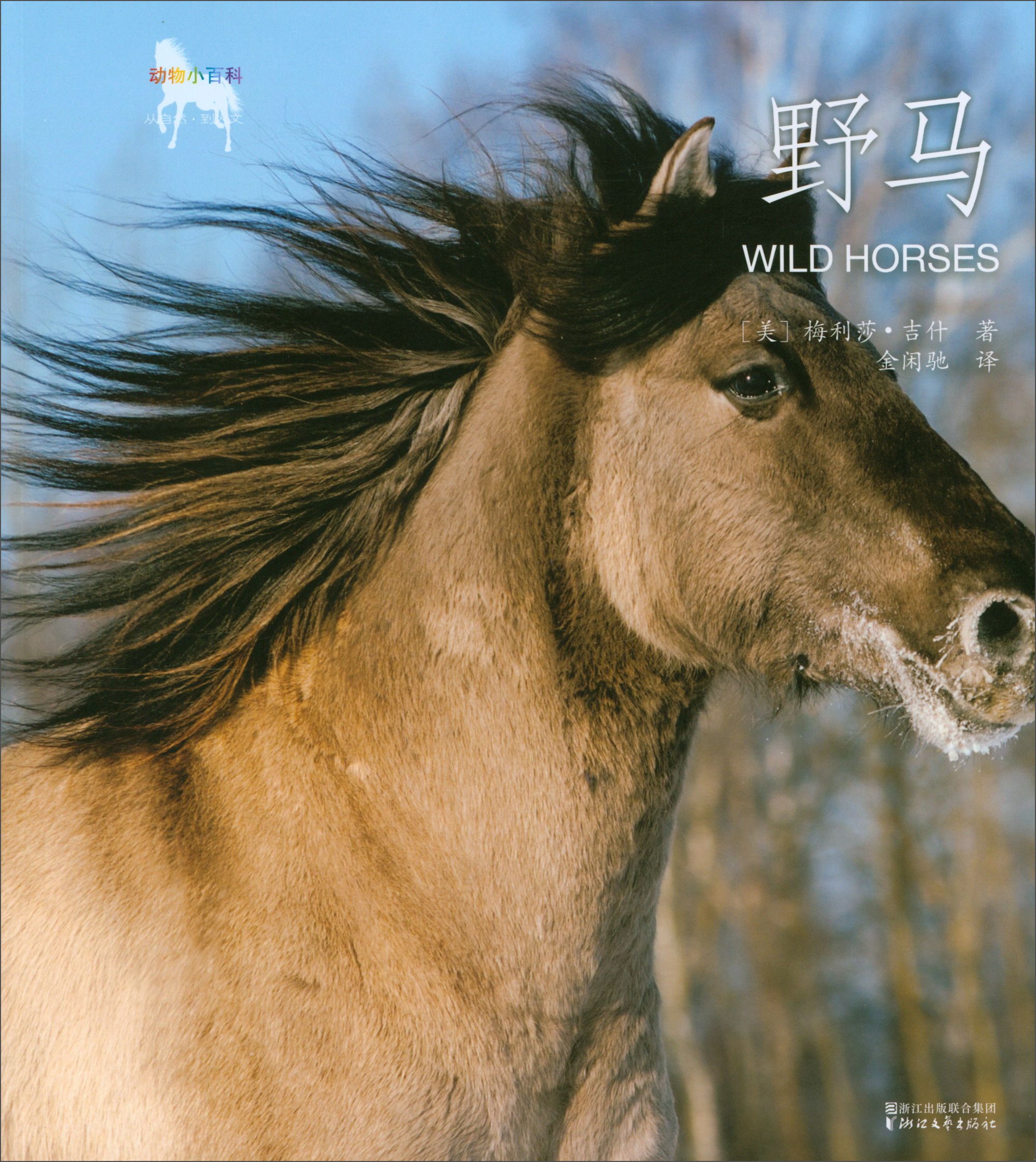 动物小百科野马