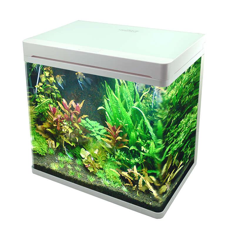 鱼之宝 小型桌面鱼缸高清玻璃缸体钢化玻璃盖面生态创意LED灯带过滤水族箱GT-4白色款 40.6*26.8*43.6cm