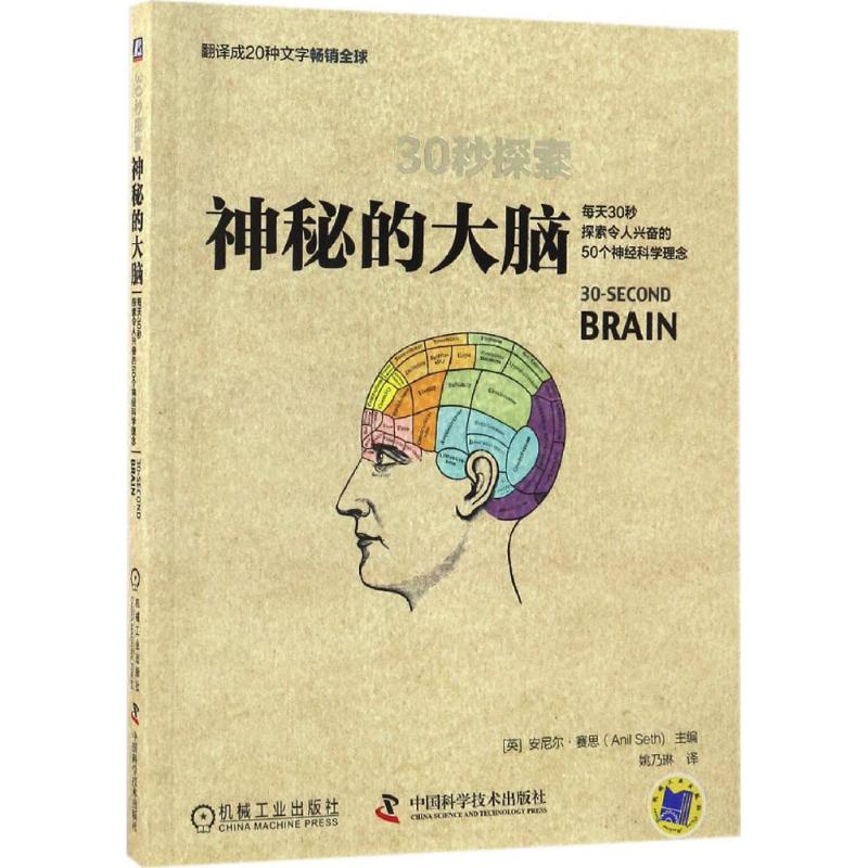 神秘的大脑