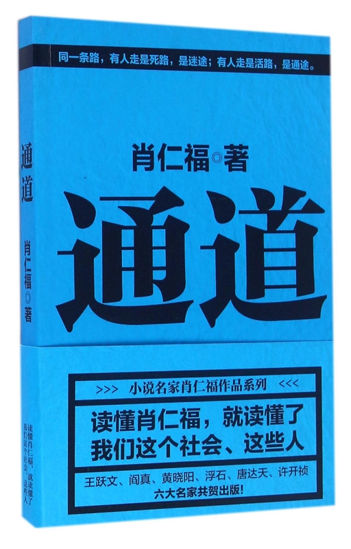 通道 肖仁福 中国文联出版社 官场 社会 公务员阶层的众生相 官僚阶层和社会各阶层错综复杂的关