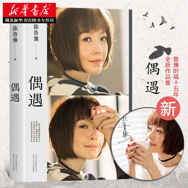 偶遇(鲁豫继心相约后时隔15年全新作品集