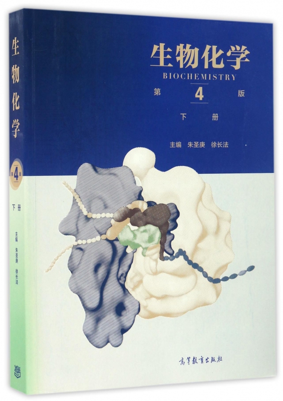 生物化学(下第4版)