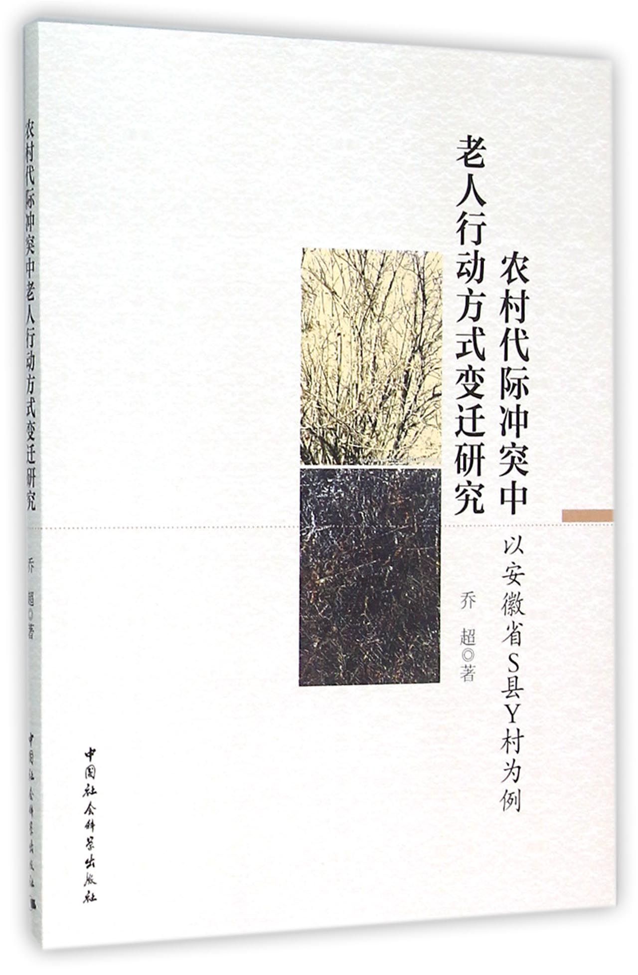 农村代际冲突中老人行动方式变迁研究：以安徽省S县Y村为例