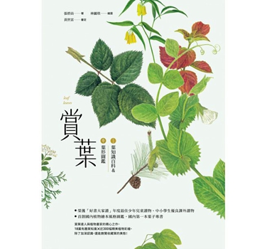 赏叶：叶知识百科＆叶形图鉴 港台原版 张碧员 商周 百科