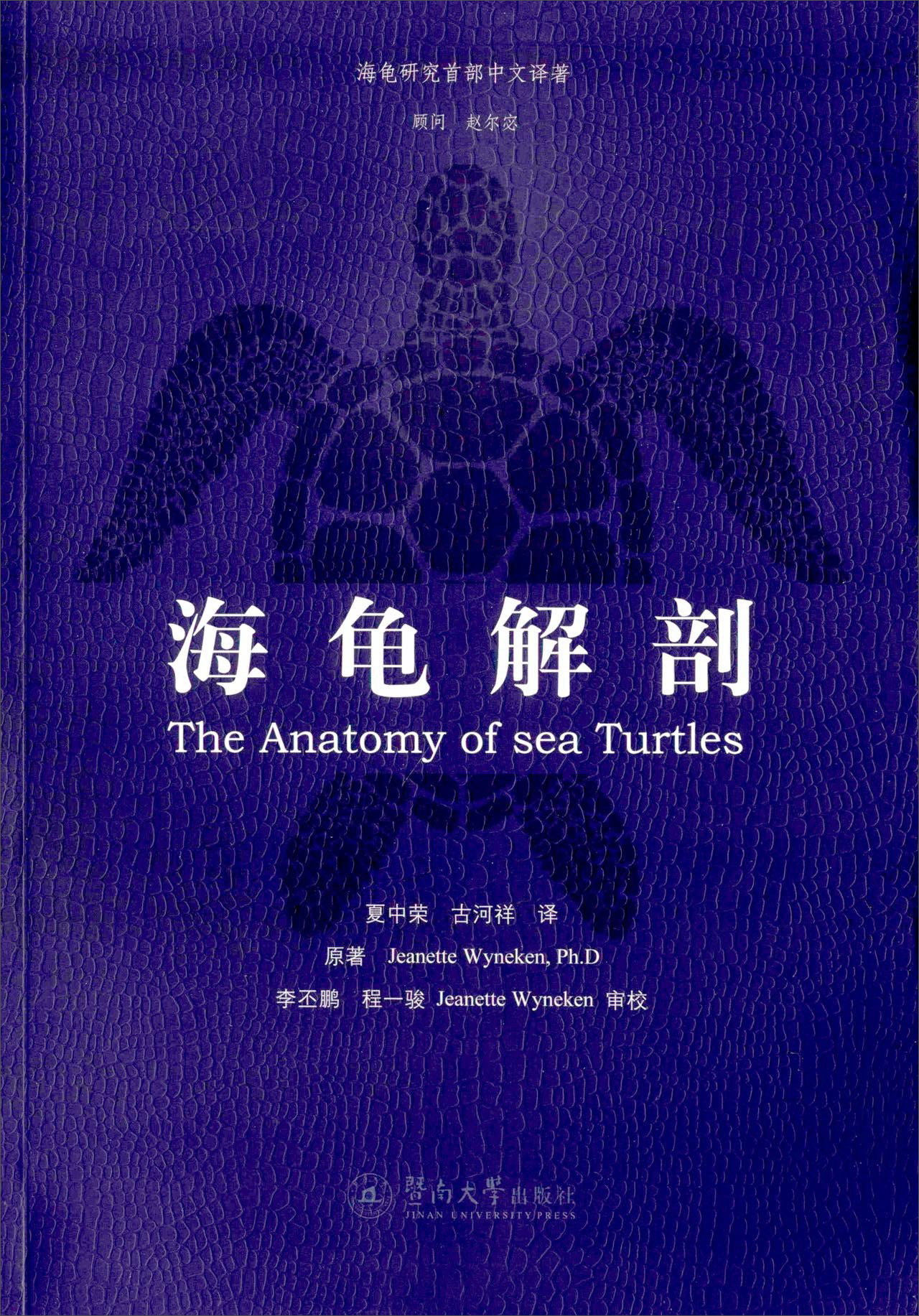 海龟解剖