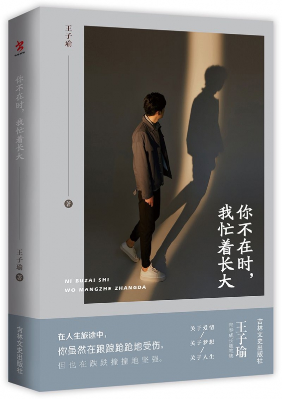 你不在时我忙着长大