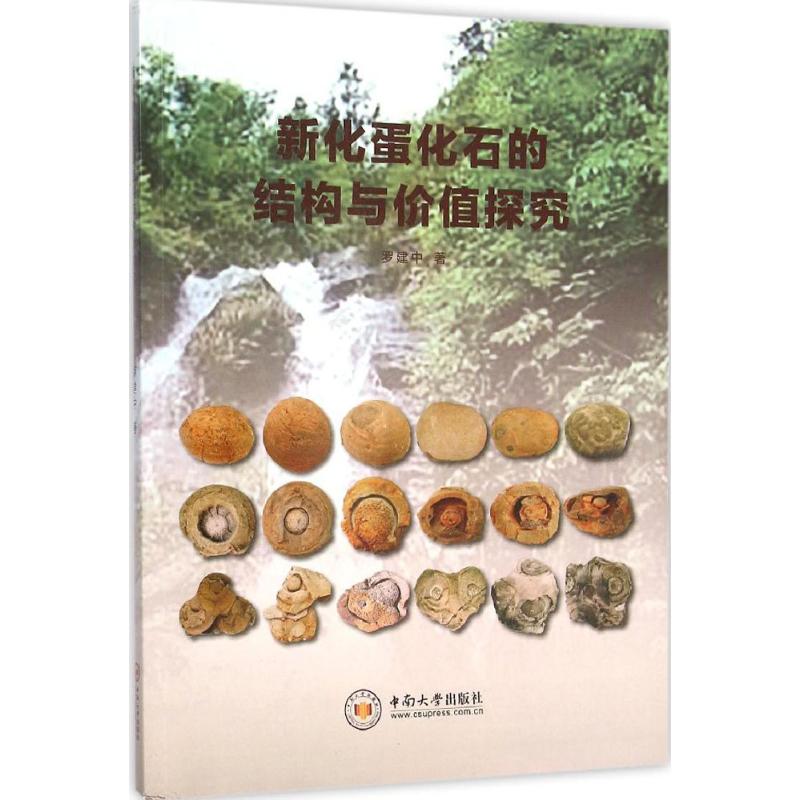新化蛋化石的结构与价值探究