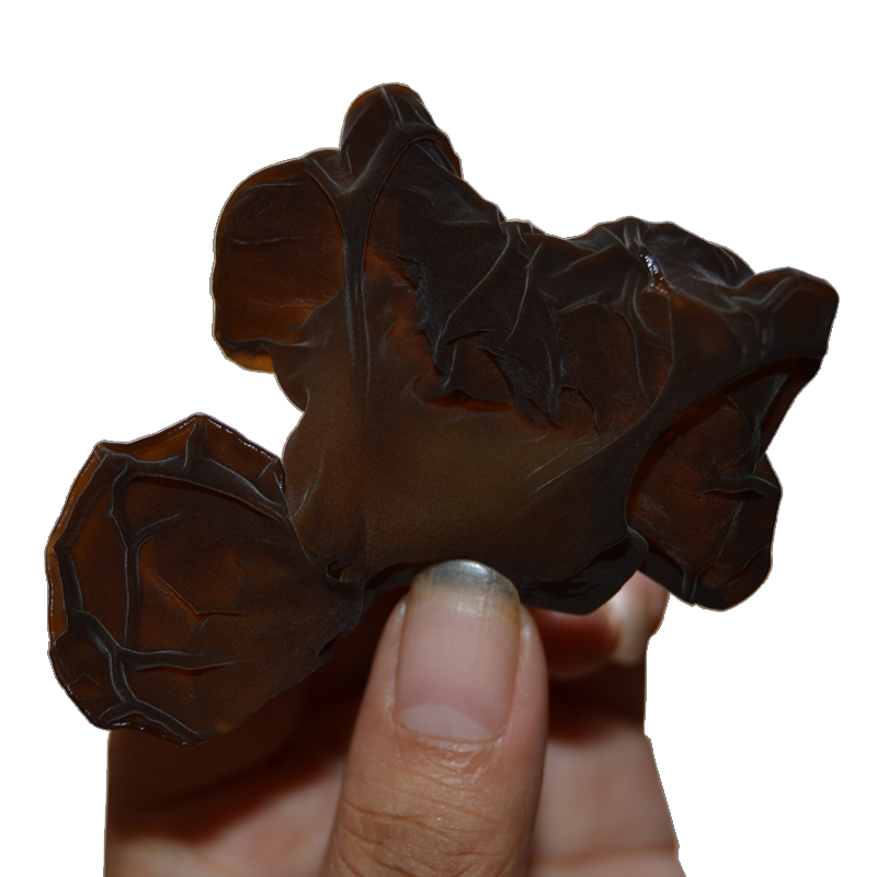 世吃汇农家自产秦岭椴木木耳 陕西特产 生长 真正长在木头上的木耳