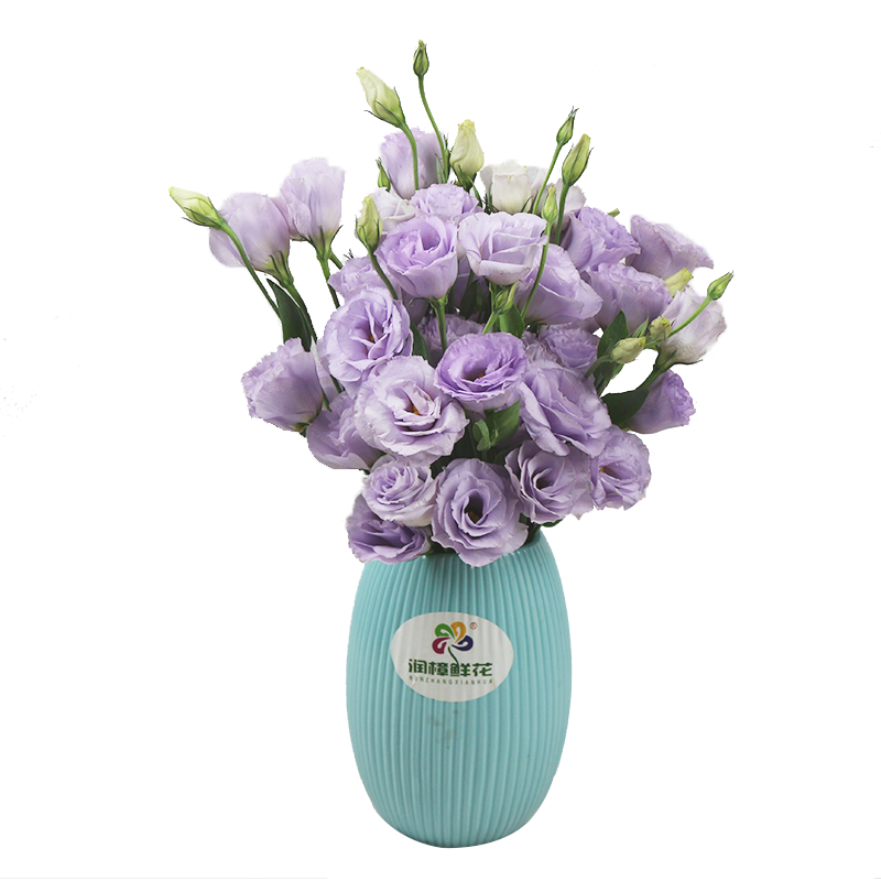 润樟鲜花母亲节礼物家庭鲜花插花每周一花洋桔梗系列 单次 每束10朵花以上全国中通空运包邮浅紫色洋桔梗10朵花以上特惠 虎窝购 润樟鲜花母亲节礼物家庭鲜花插花每周一花洋桔梗系列 单次 每束10朵花以上全国中通空运包邮浅紫色洋桔梗10朵花以上特惠 虎窝购