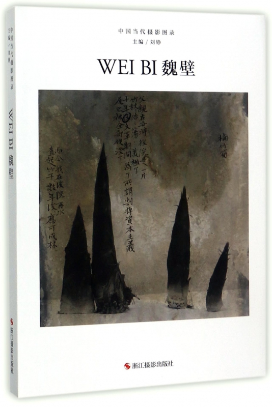 魏壁(精)/中国当代摄影图录