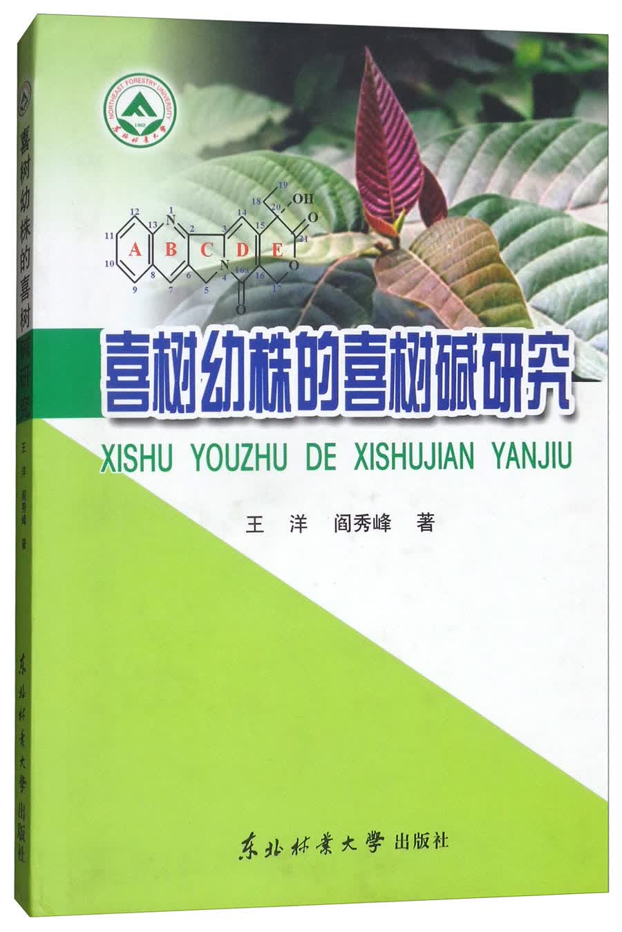 喜树幼株的喜树碱研究
