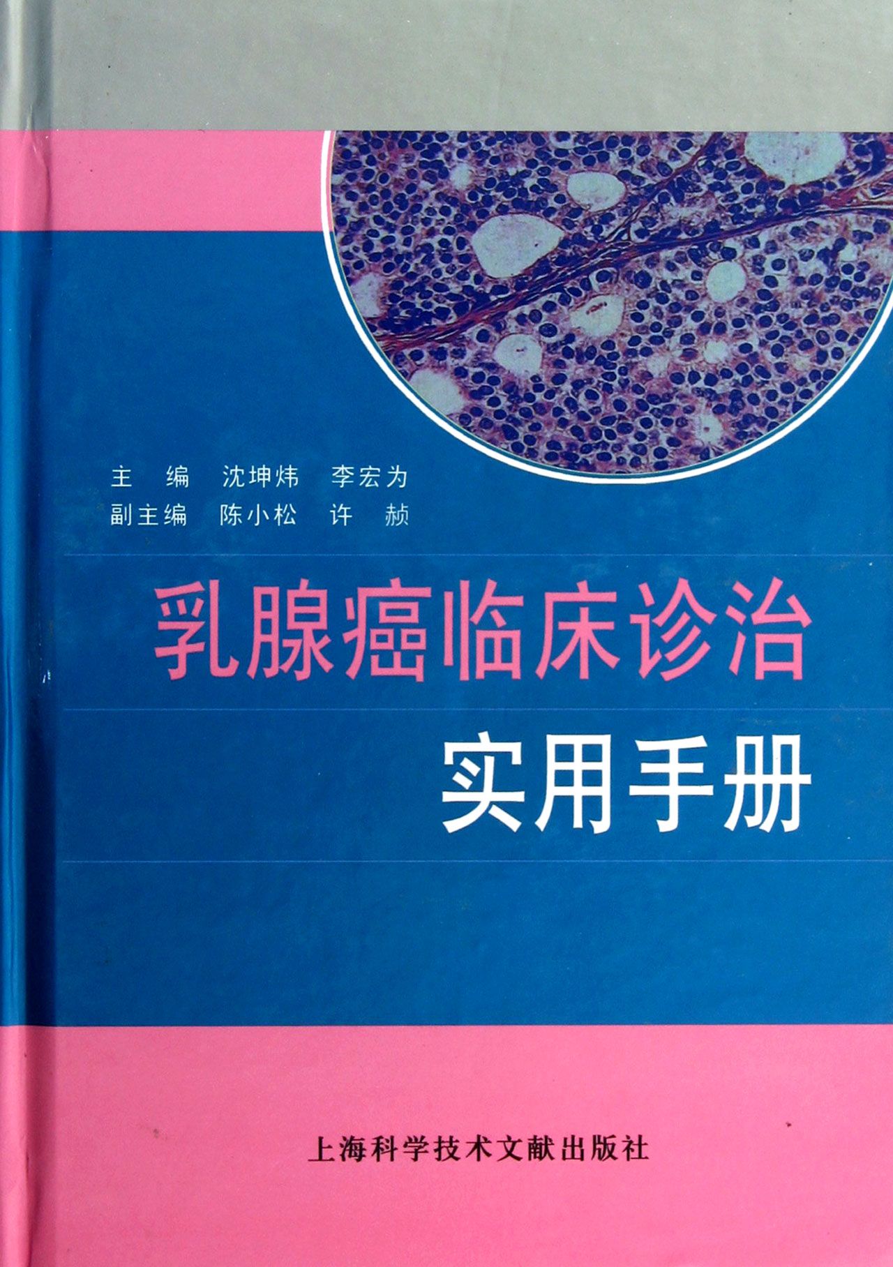 乳腺癌临床诊治实用手册(精)