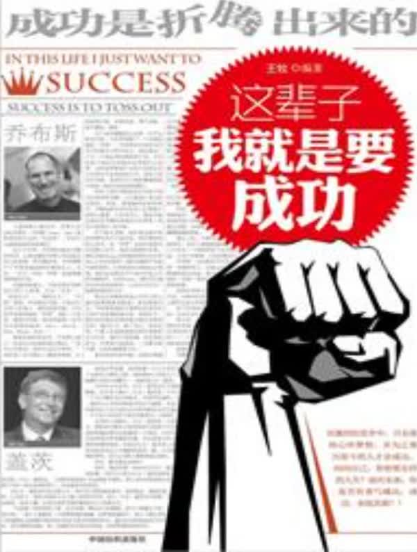 这辈子我就是要成功