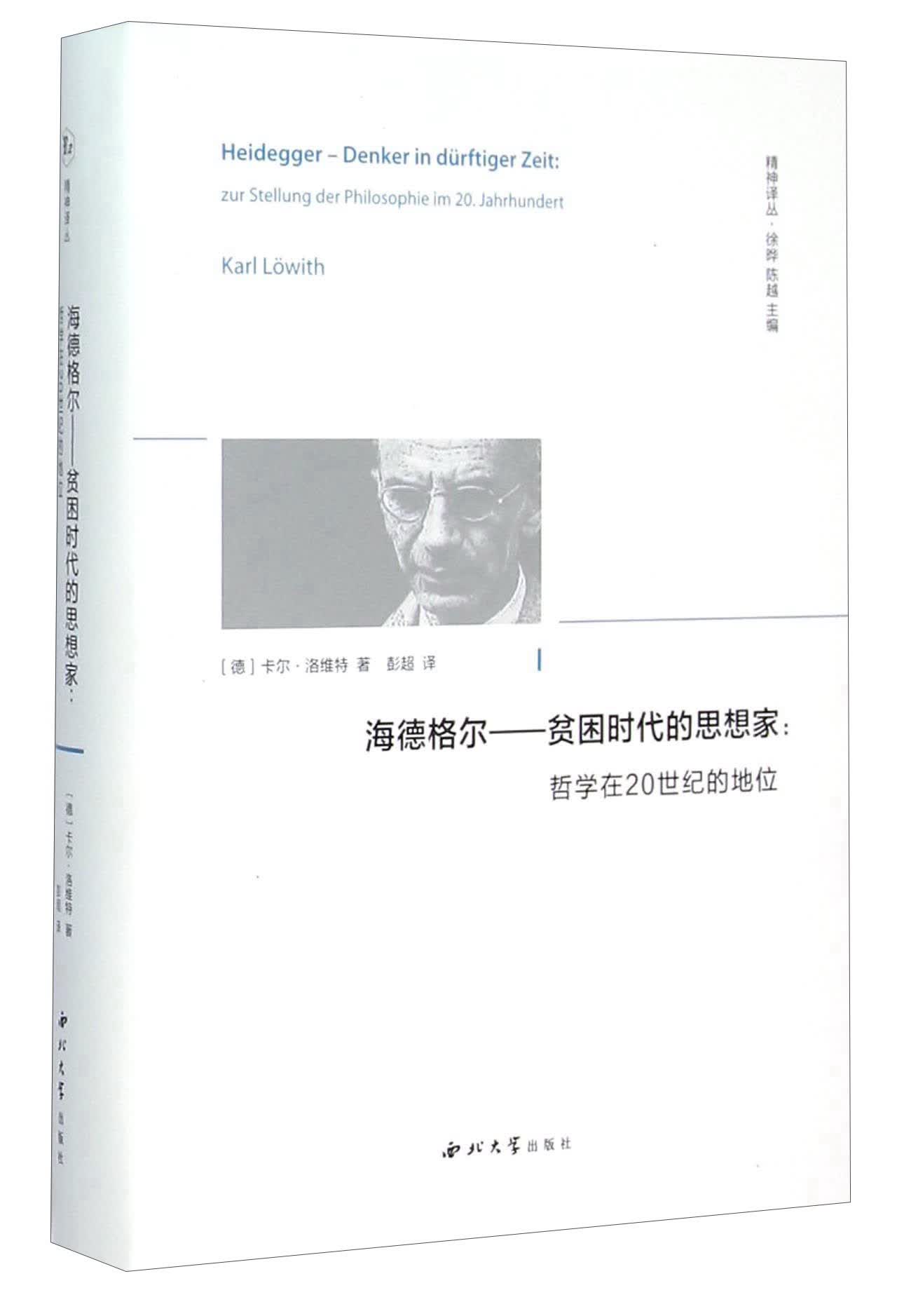 海德格尔——贫困时代的思想家(哲学在20世纪的地位)(精)