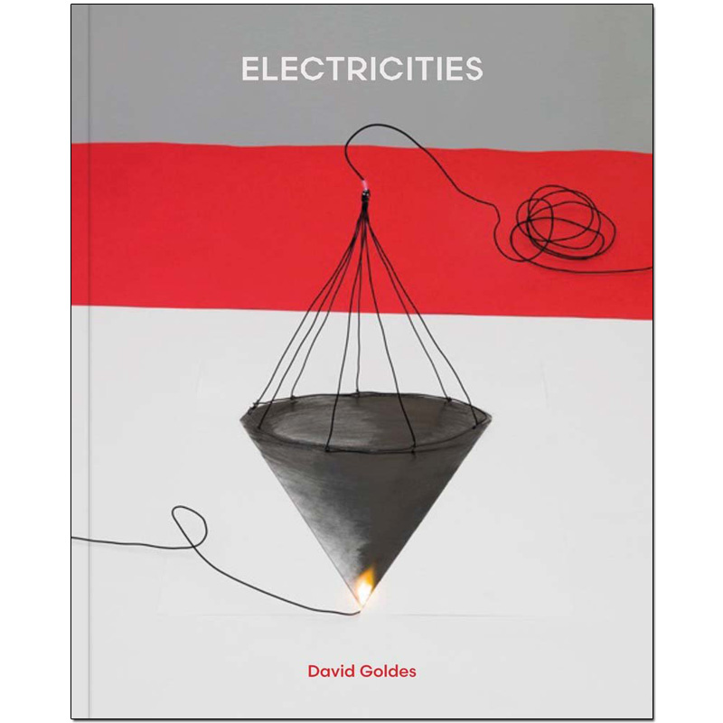 【现货】david goldes: electricities 电力城市 英文原版艺术摄影