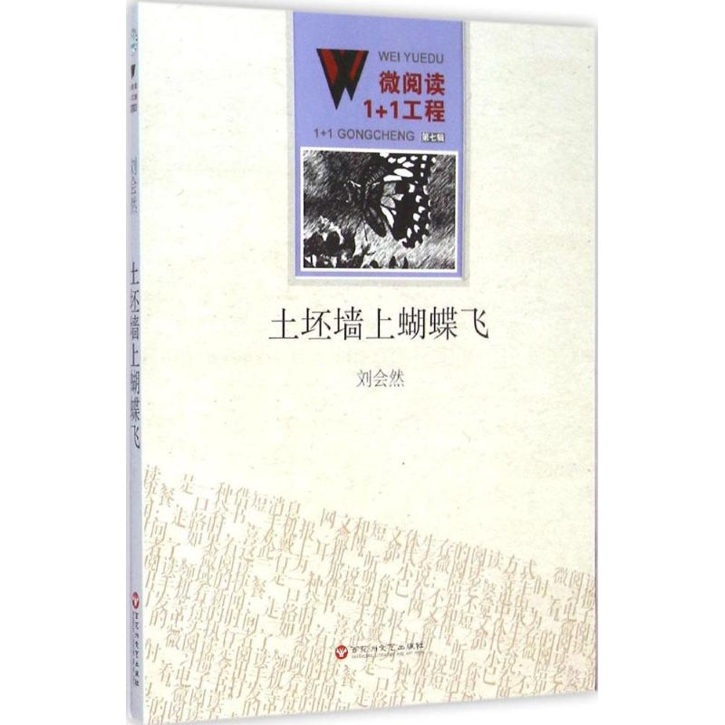 土坯墙上蝴蝶飞