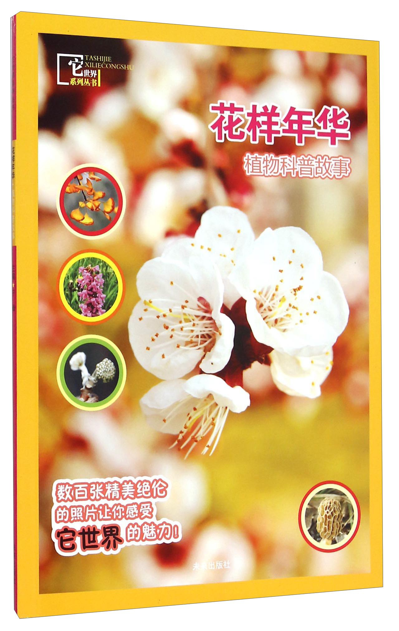 它世界系列丛书：花样年华（植物科普故事） 