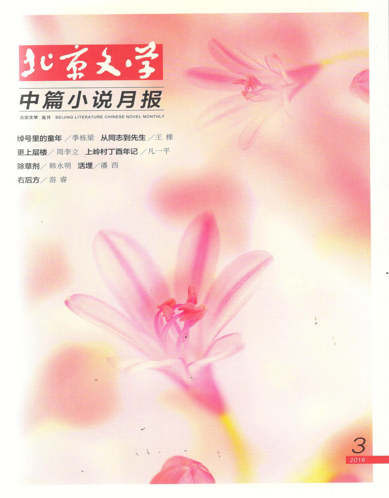 北京文学中篇小说月报(2018年3月号)