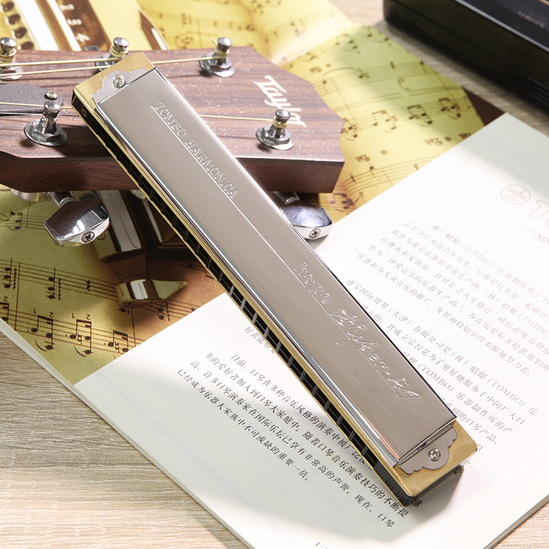 通宝c调二十四孔复音口琴