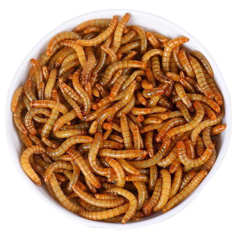 仓鼠零食 面包虫干 小宠兔子龙猫天竺鼠零食(50克装) 面包虫干