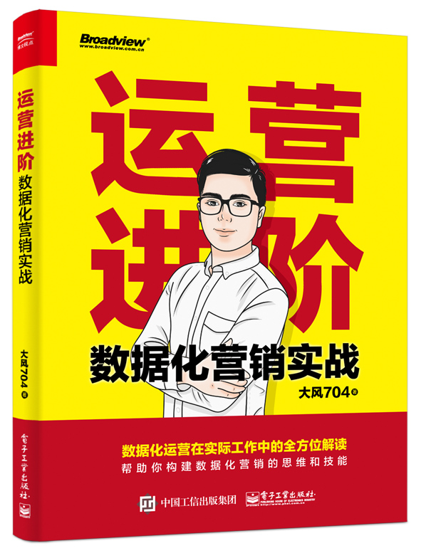 运营进阶：数据化营销实战(博文视点出品)
