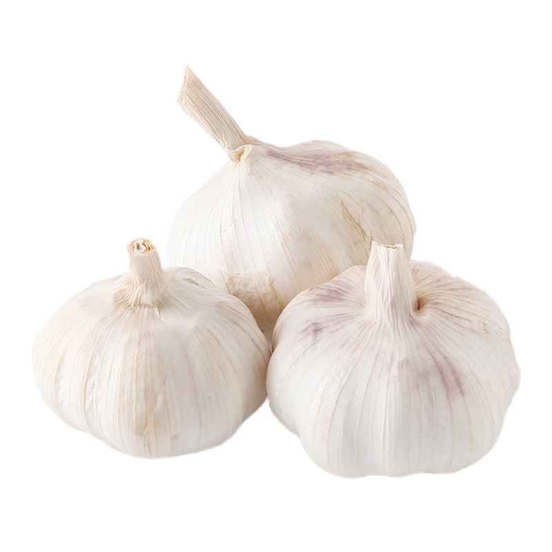 亨泰丰源 新鲜干大蒜 白皮蒜头 时令蔬菜 农家种植笨蒜 简装约1.