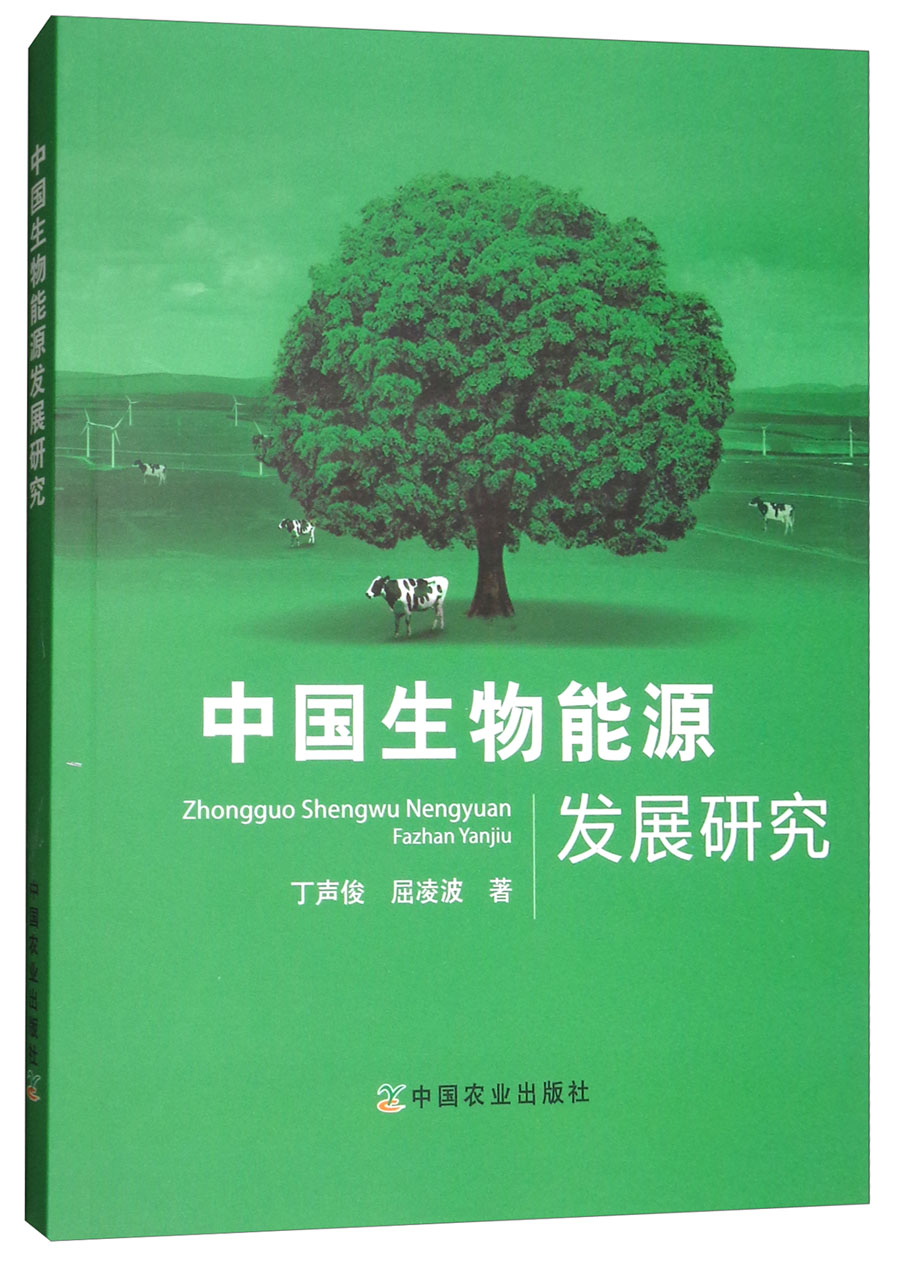 中国生物能源发展研究