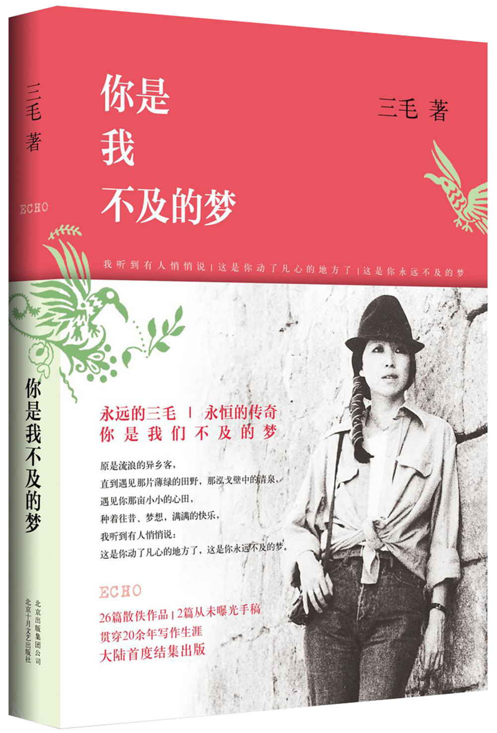 你是我不及的梦