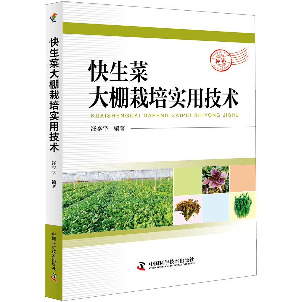 快生菜大棚栽培实用技术