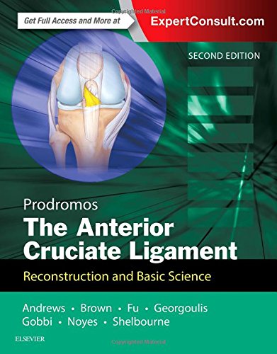 预定the anterior cruciate ligament前十字韧带