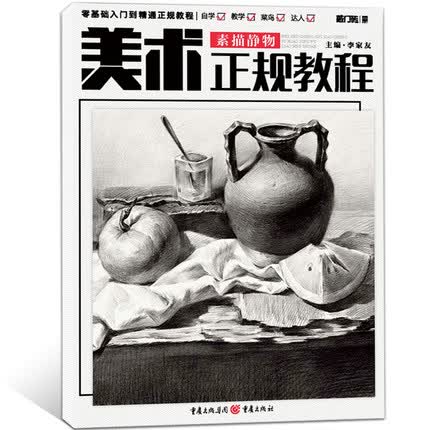 正版 敲门砖美术正规教程 素描静物 零基础入门到精通 儿童成人美术临摹素描基础教材书 局