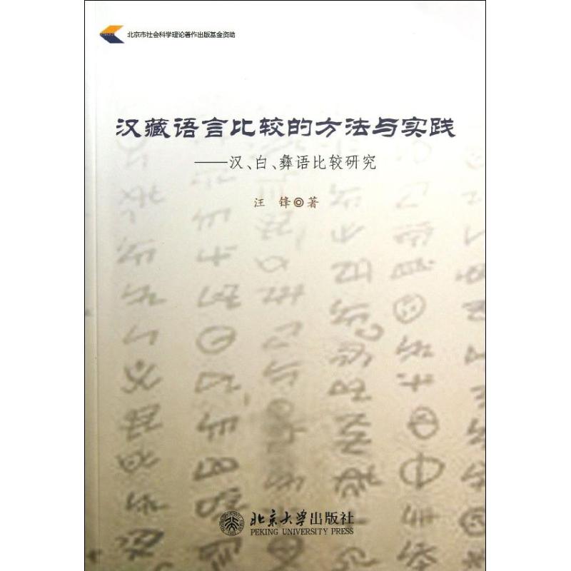 汉藏语言比较的方法与实践 