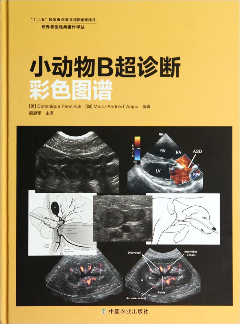 世界兽医经典著作译丛：小动物B超诊断彩色图谱
