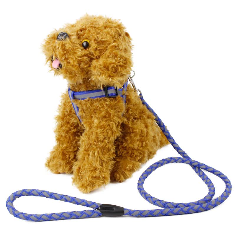 正絹犬用綱