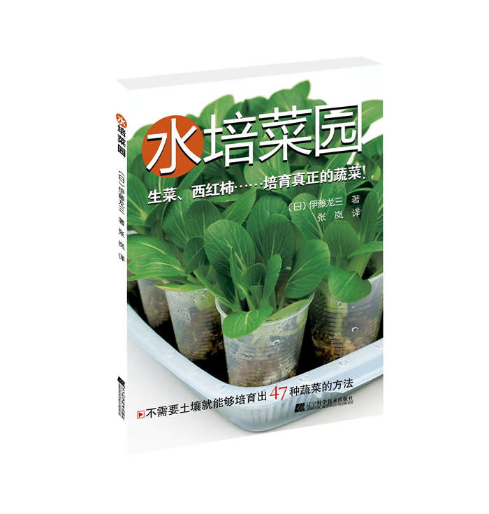 水培菜园