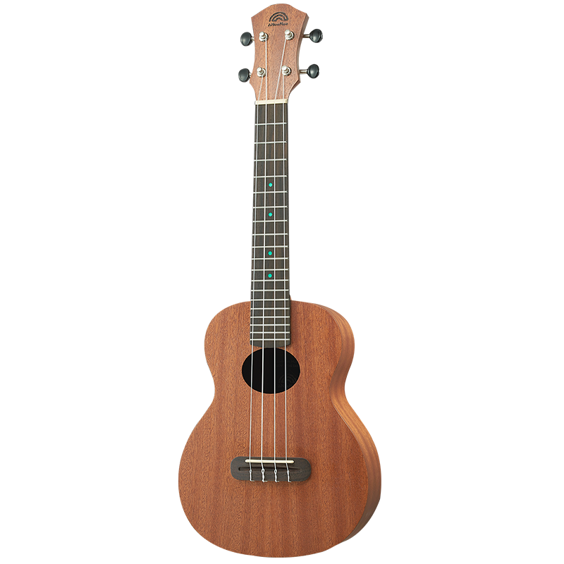 彩虹人aNN-B1款桃花芯木合板初学尤克里里的价格历史和购买指南|如何查询尤克里里历史价格