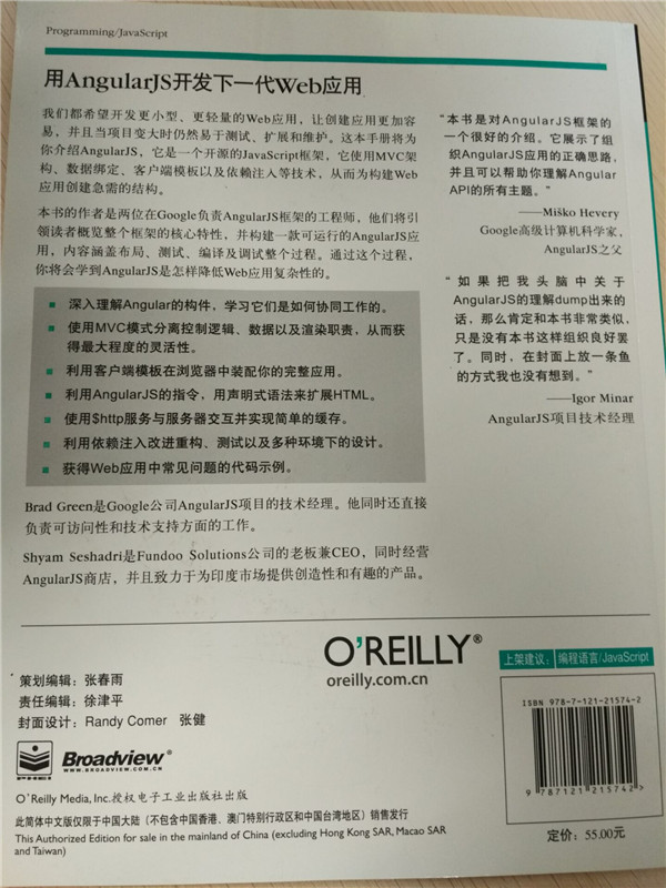 用AngularJS开发下一代Web应用(博文视点出品)详情图