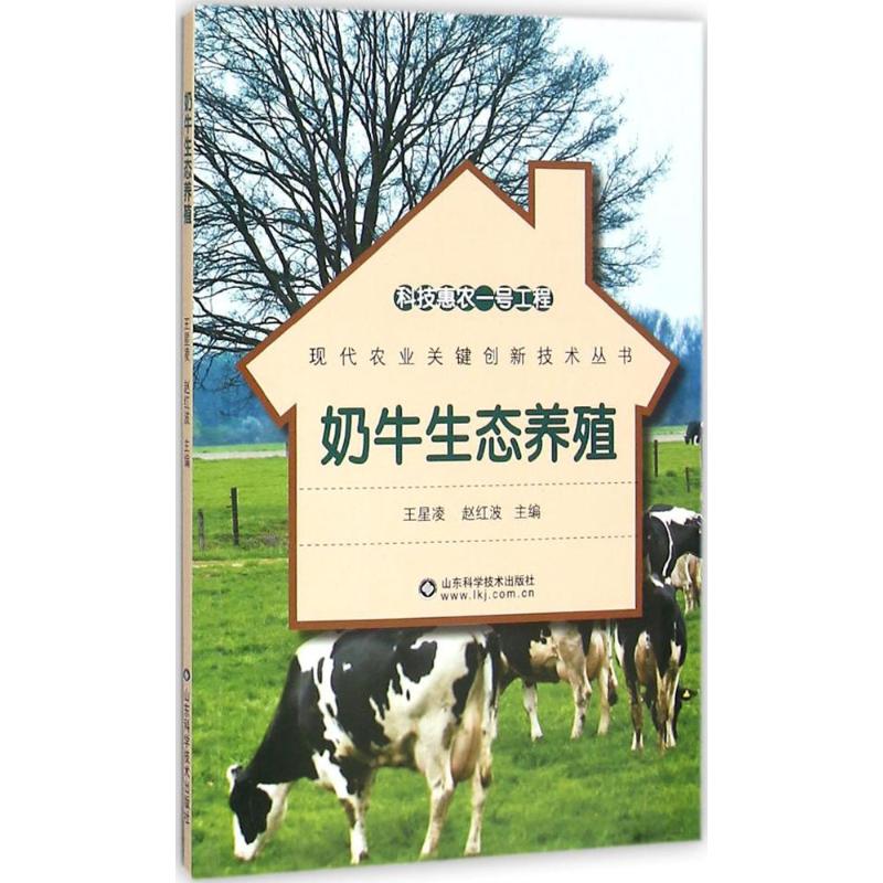 奶牛生态养殖
