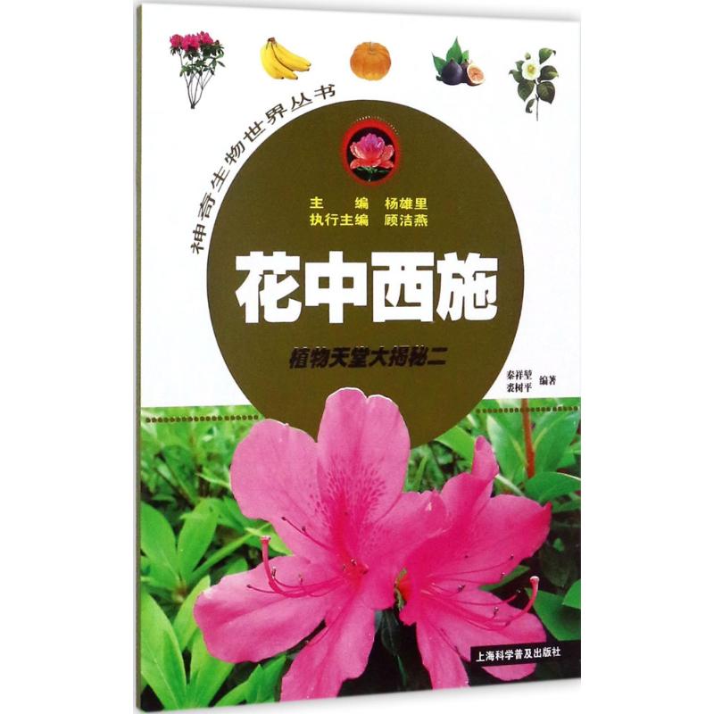 花中西施 幼儿图书 早教书 故事书 儿童书籍