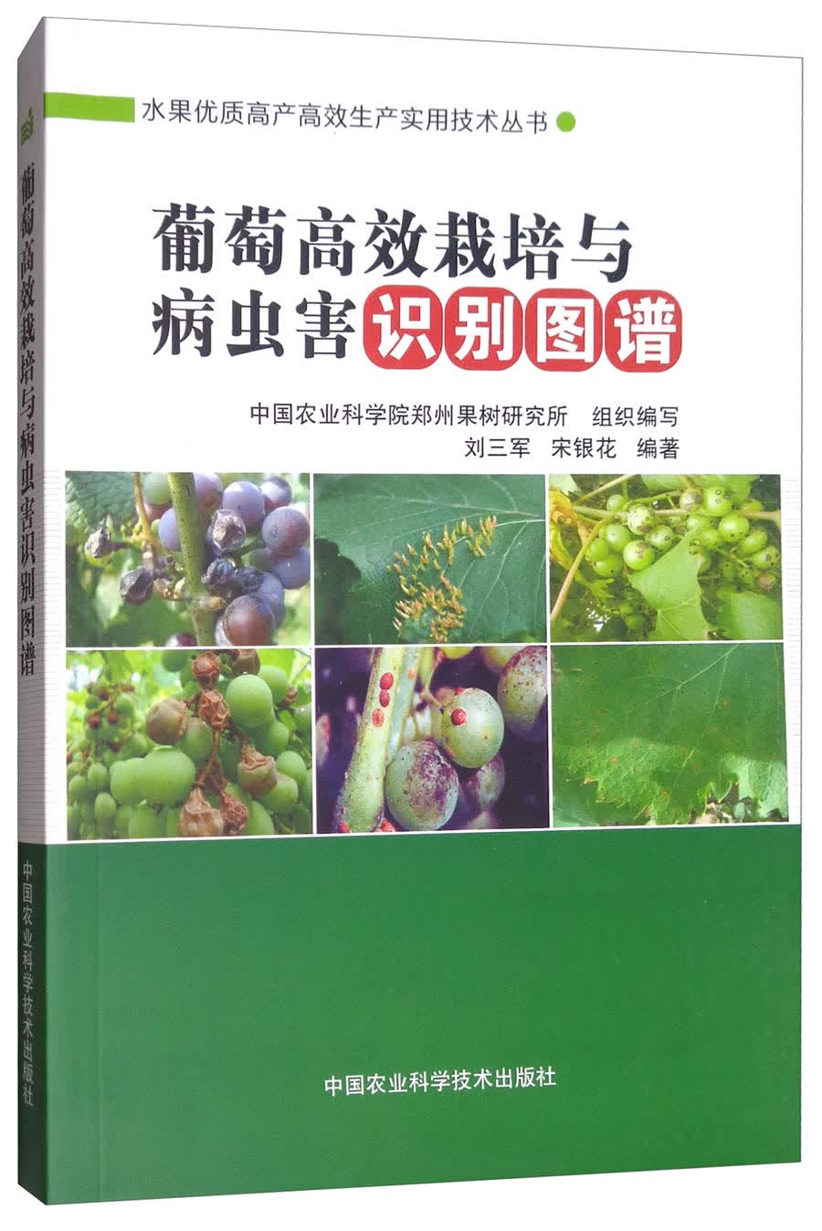 葡萄高效栽培与病虫害识别图谱